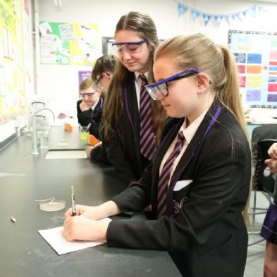 tsa_Year8Science (16)
